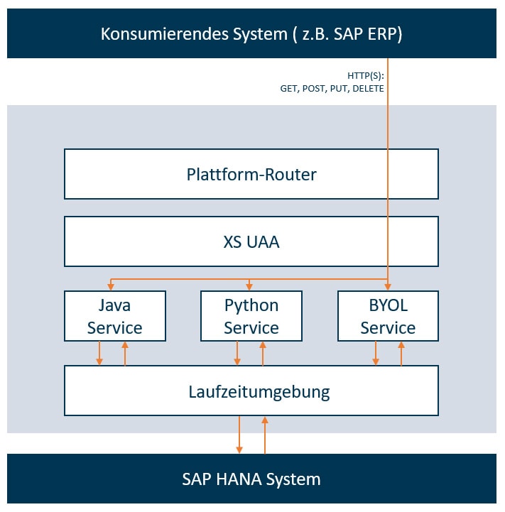Flexus XSA vs. ABAP